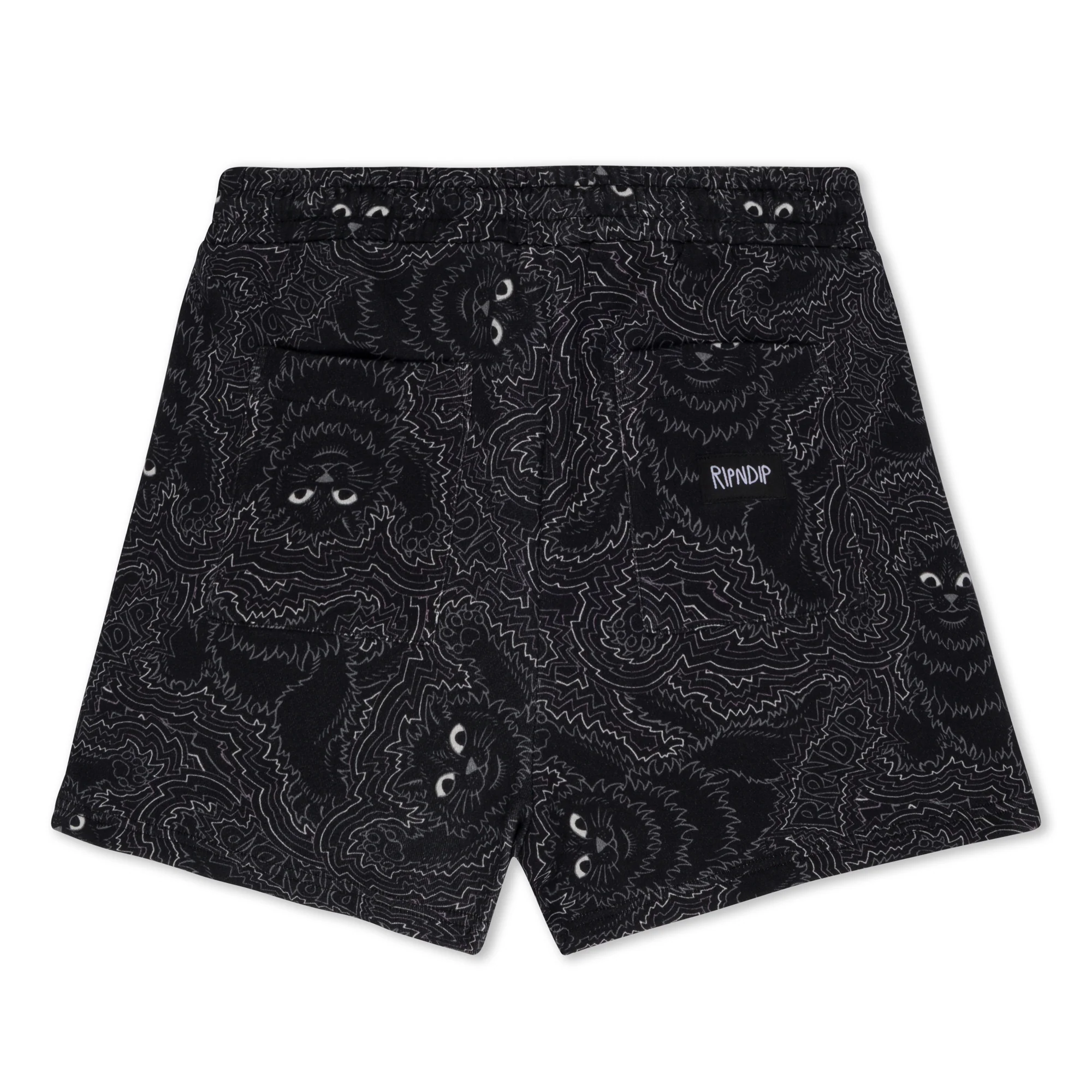 Big Pussy Energy Womens Sweat Shorts (Black) - Image 3