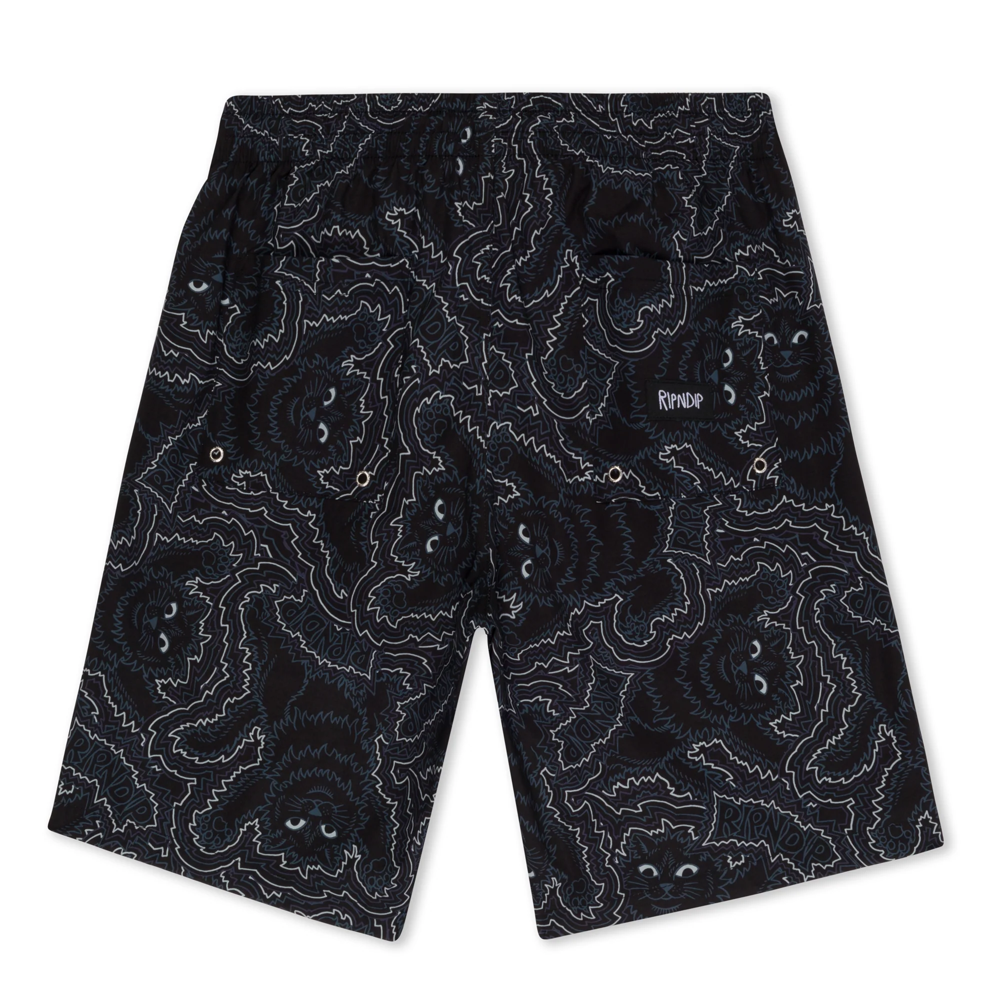 Big Pussy Energy Swim Shorts (Black) - Image 3