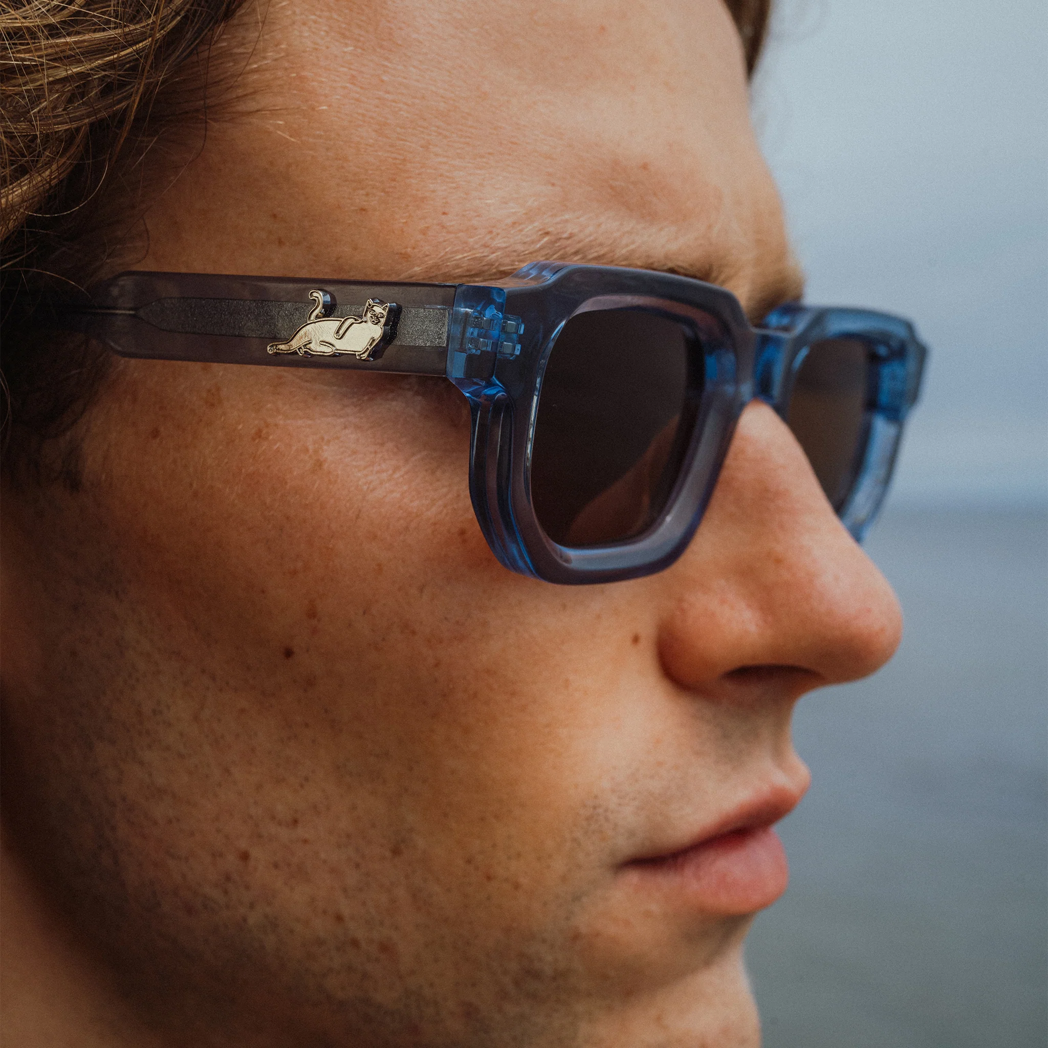 Catstanza Sunglasses (Blue) - Image 2