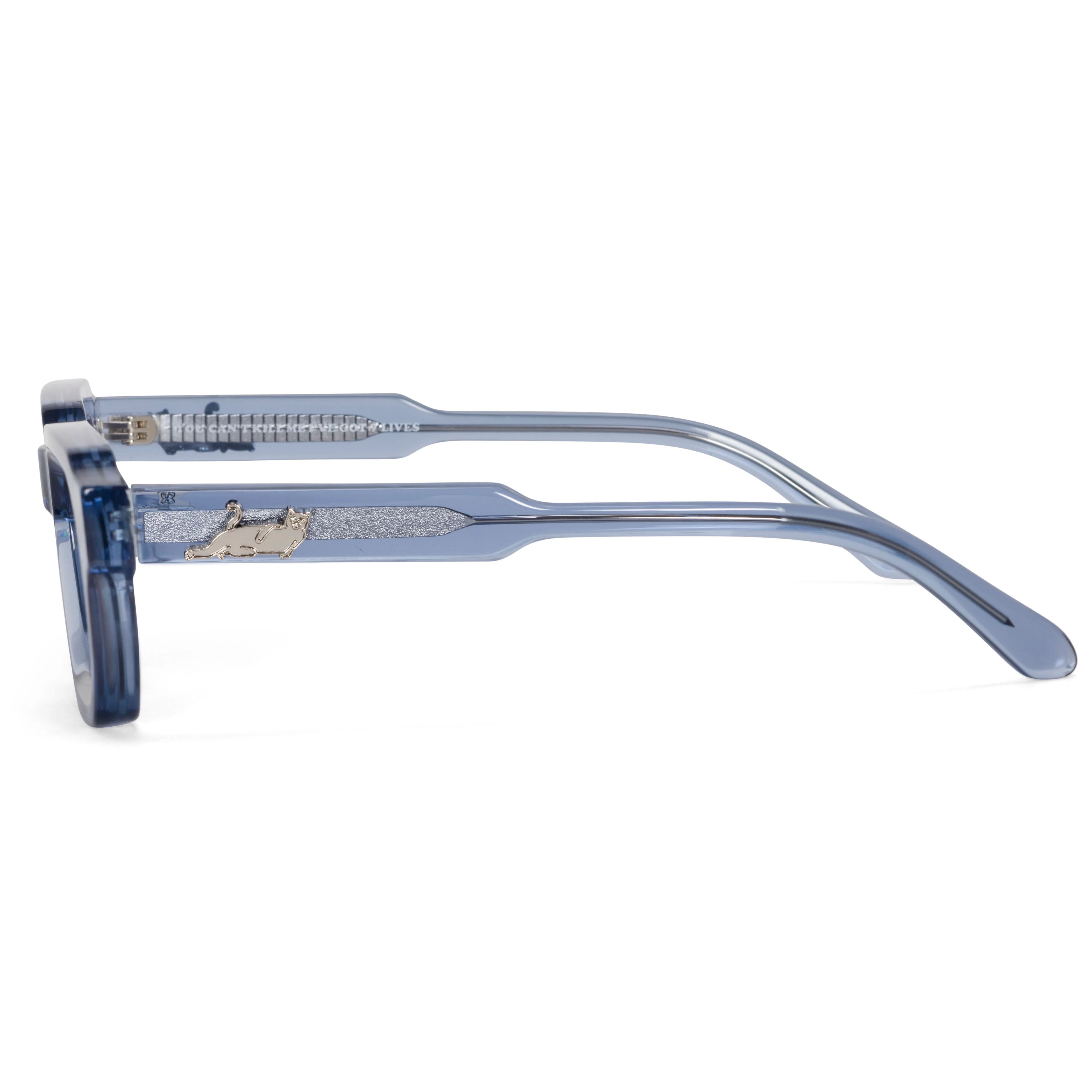 Catstanza Sunglasses (Blue) - Image 8