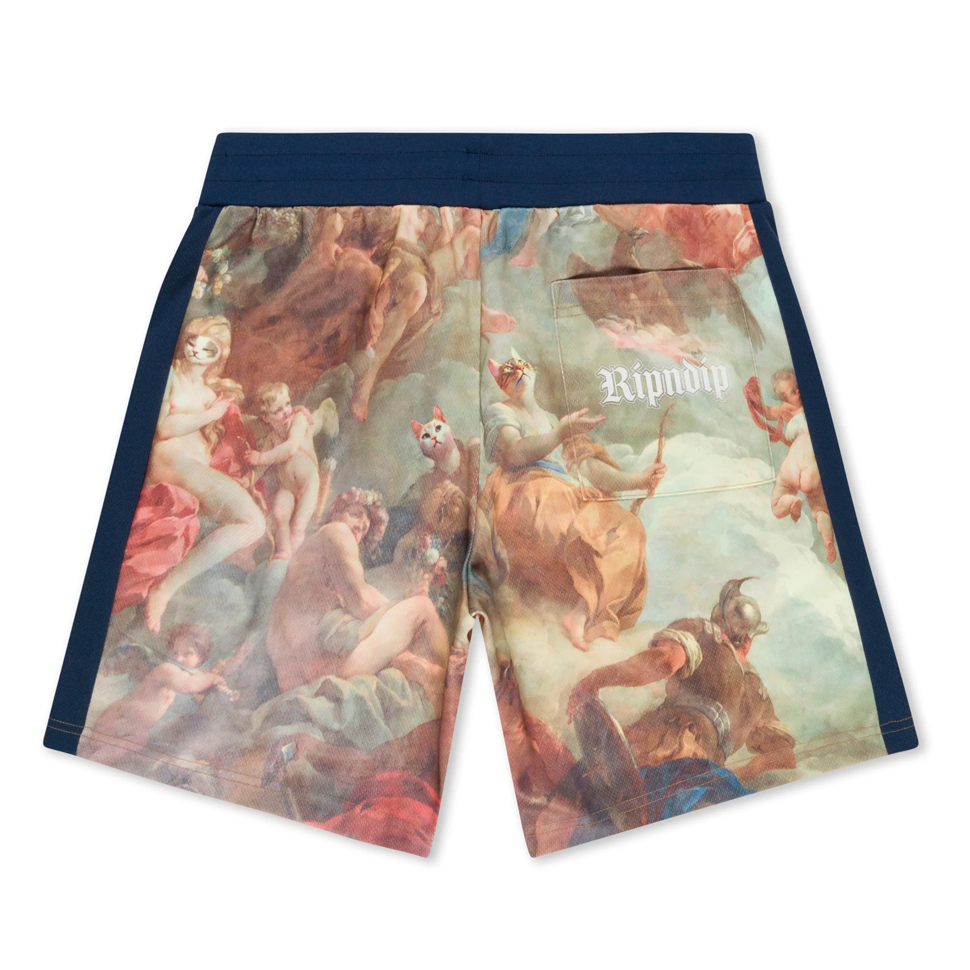 Heavens Waiting Soccer Shorts (Navy Multi) - Image 5