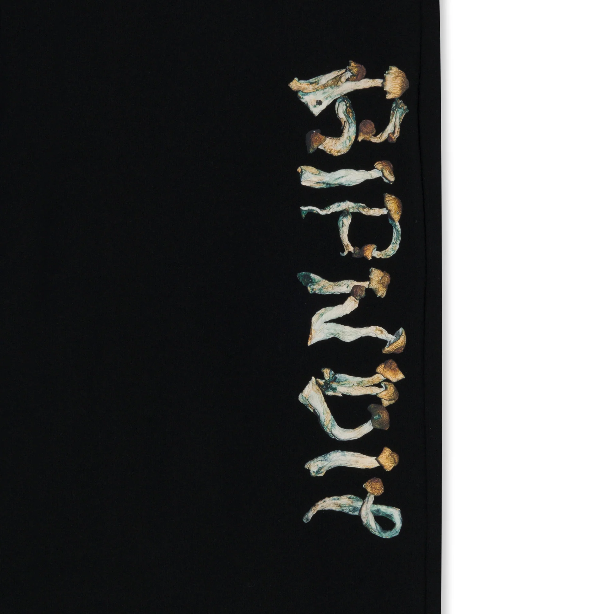 Is This Real Life Sweatpants (Black) - Image 3