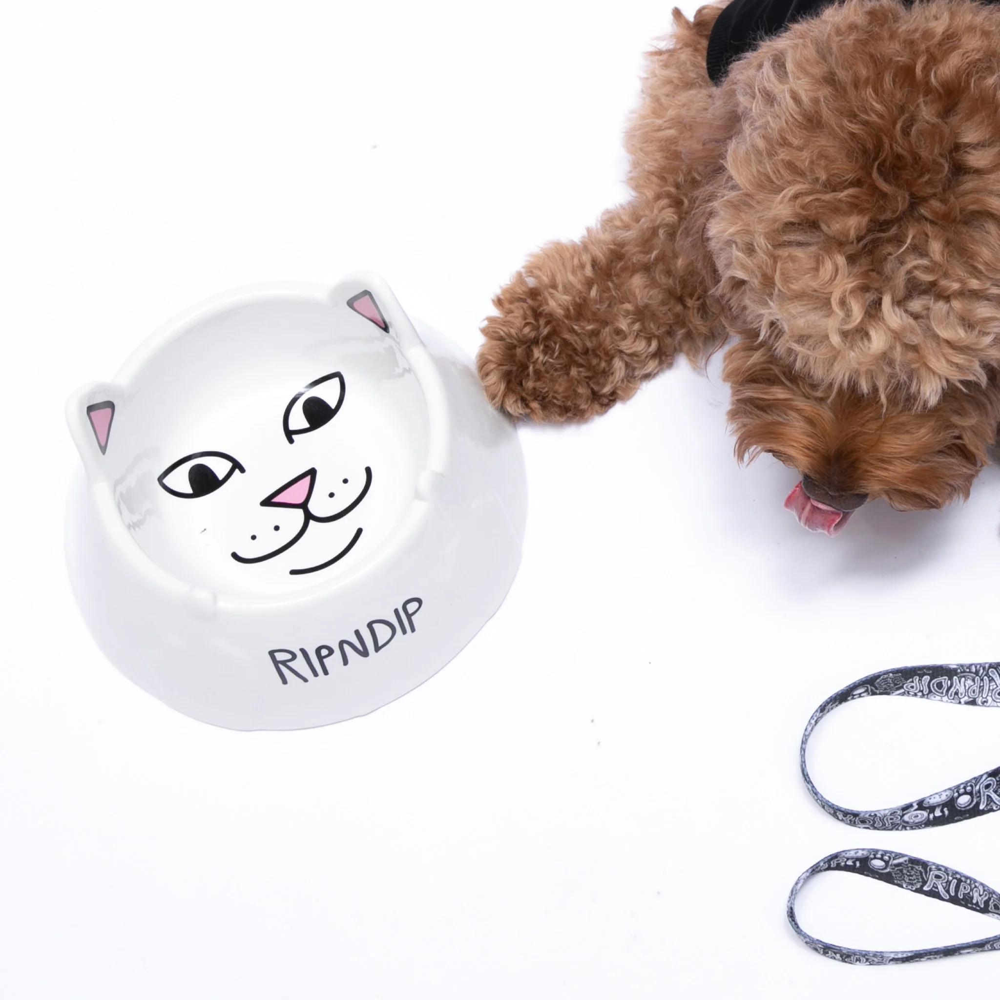 Lord Nermal Pet Bowl (White) - Image 2