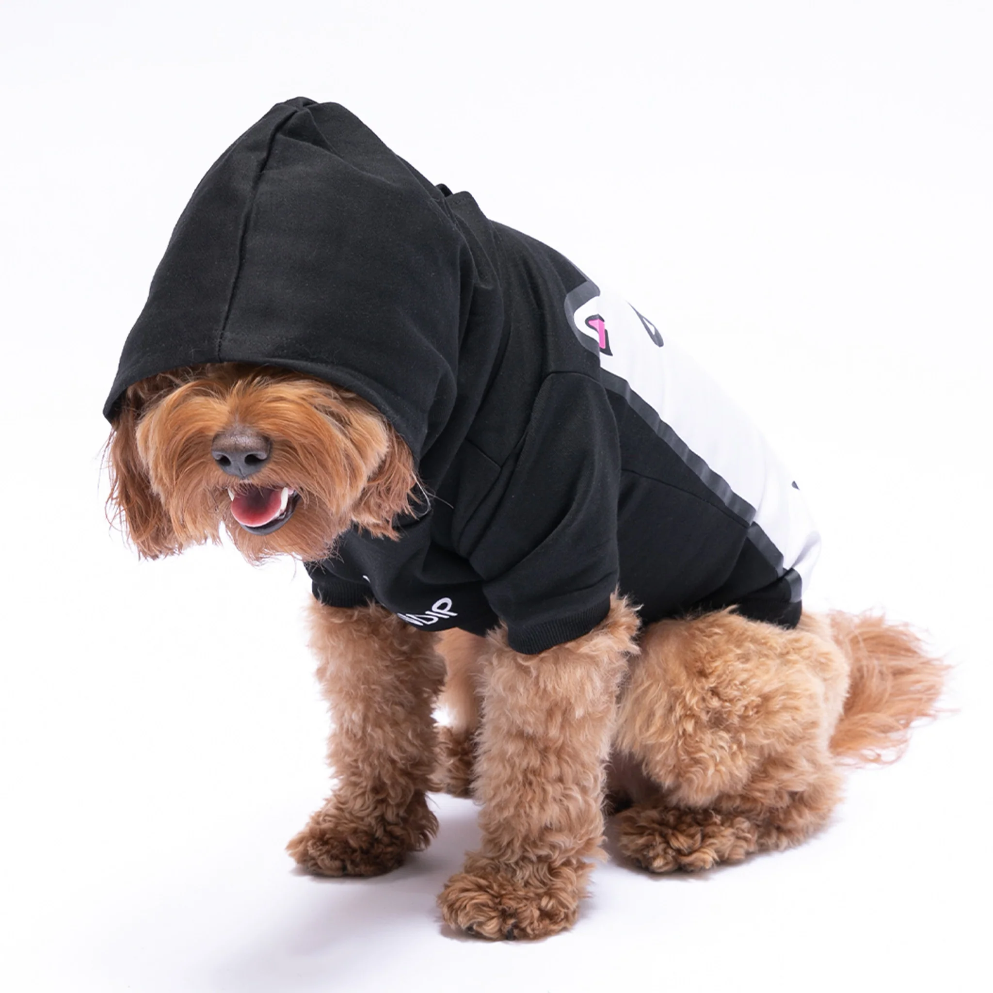 Lord Nermal Pet Hoodie (Black) - Image 2