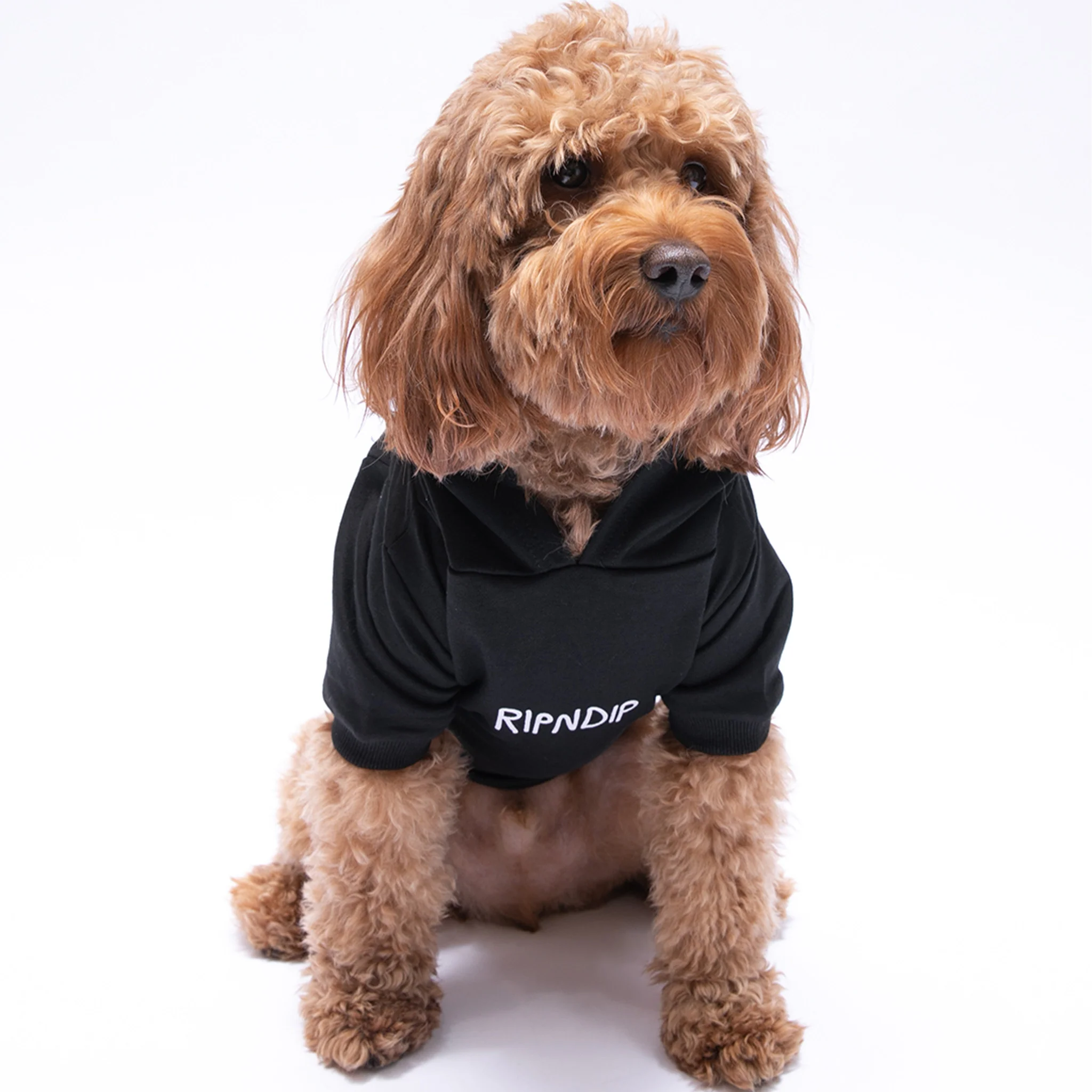 Lord Nermal Pet Hoodie (Black) - Image 3