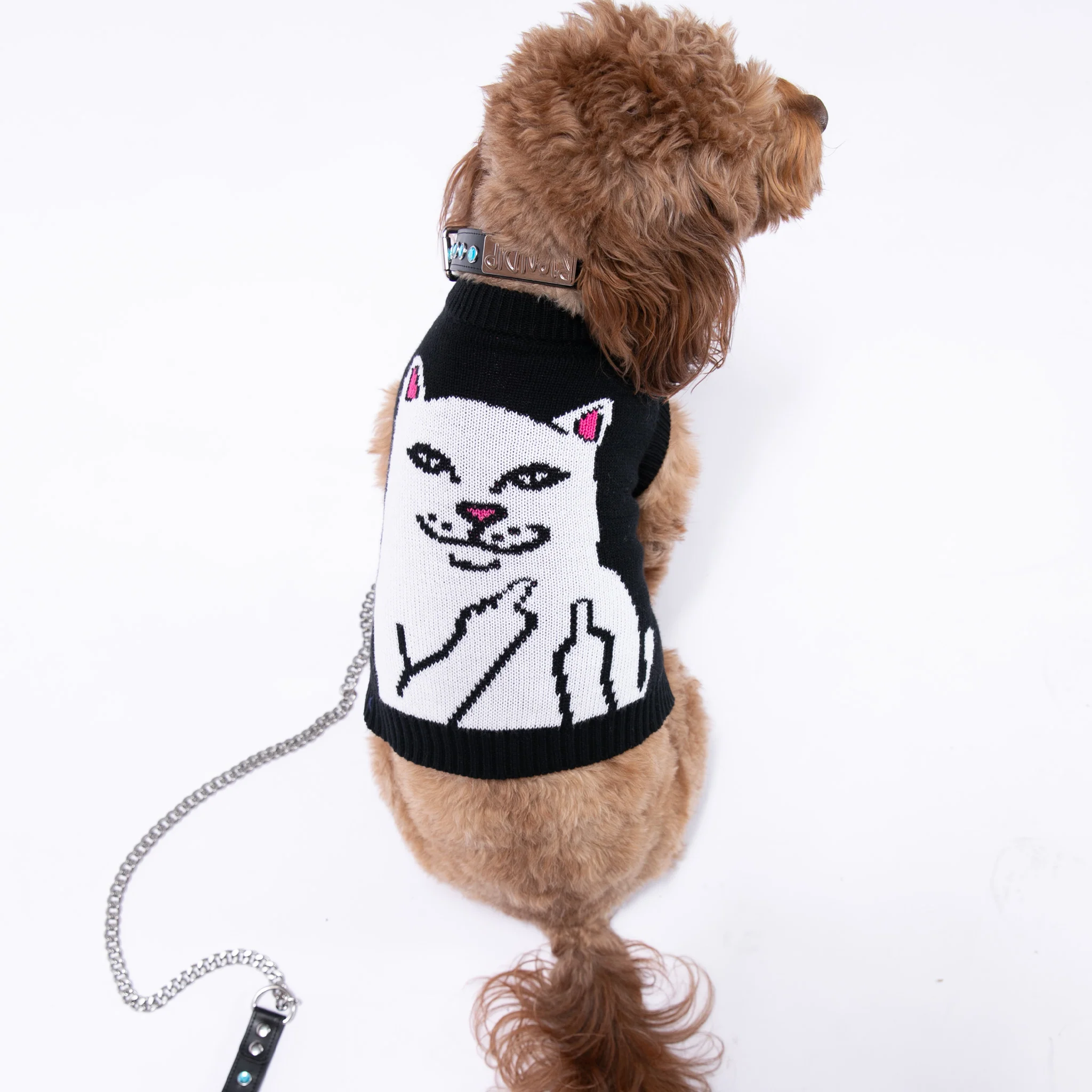 Lord Nermal Pet Knit Sweater Vest (Black) - Image 2