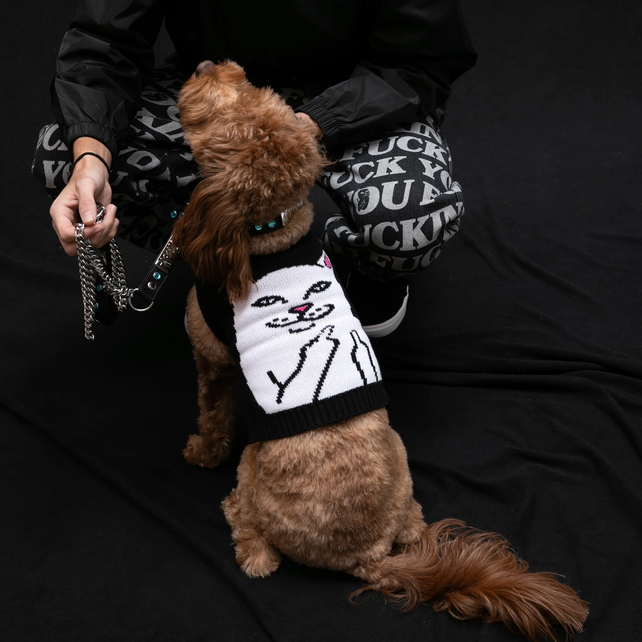 Lord Nermal Pet Knit Sweater Vest (Black) - Image 3