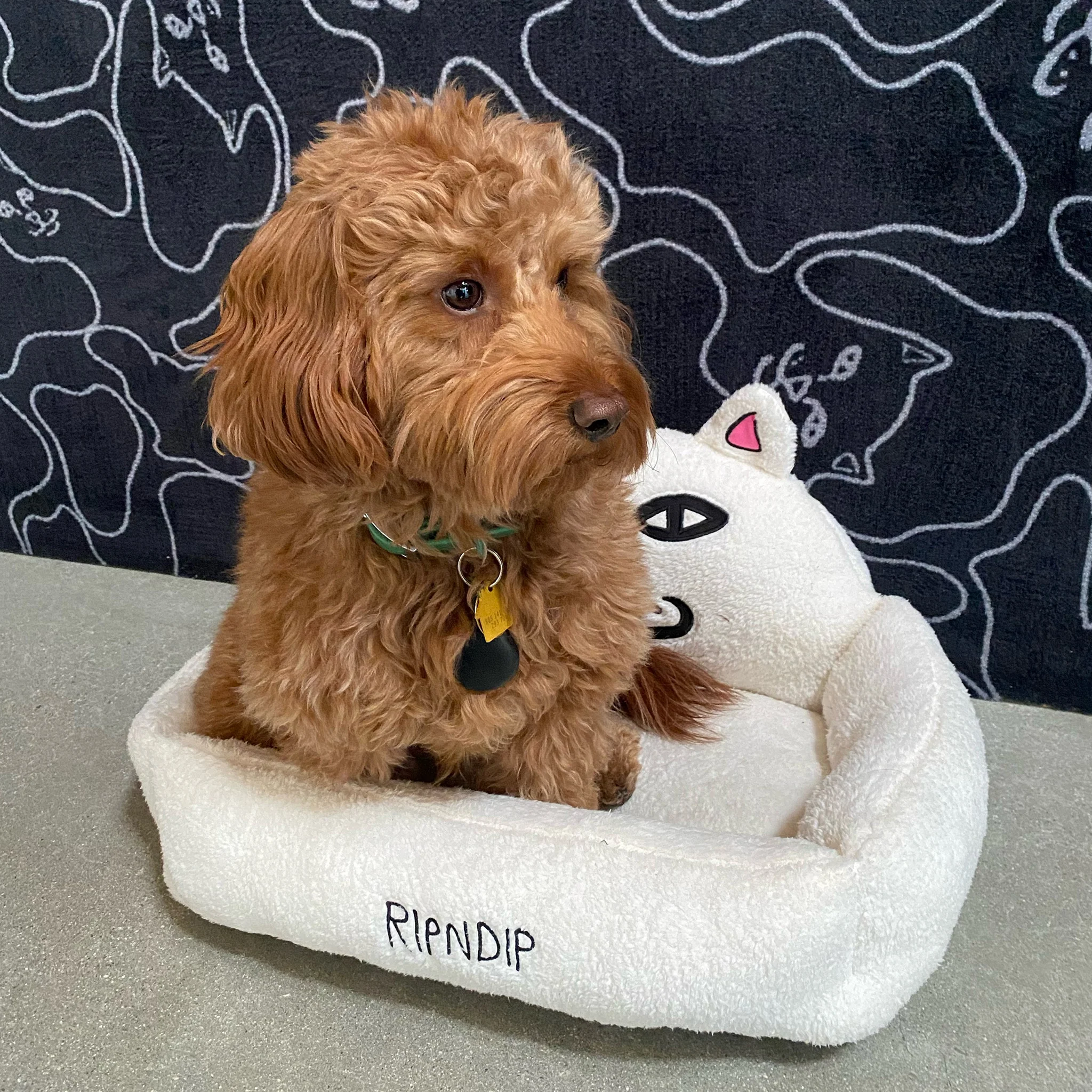 Lord Nermal Small Pet Bed (White) - Image 2