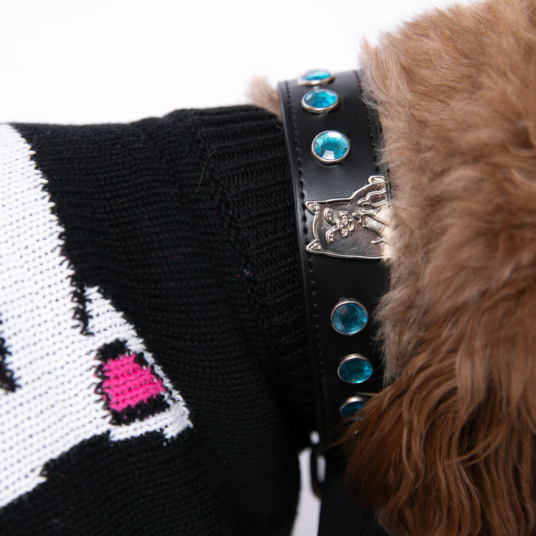 Lord Nermal Studded Pet Collar (Black) - Image 2