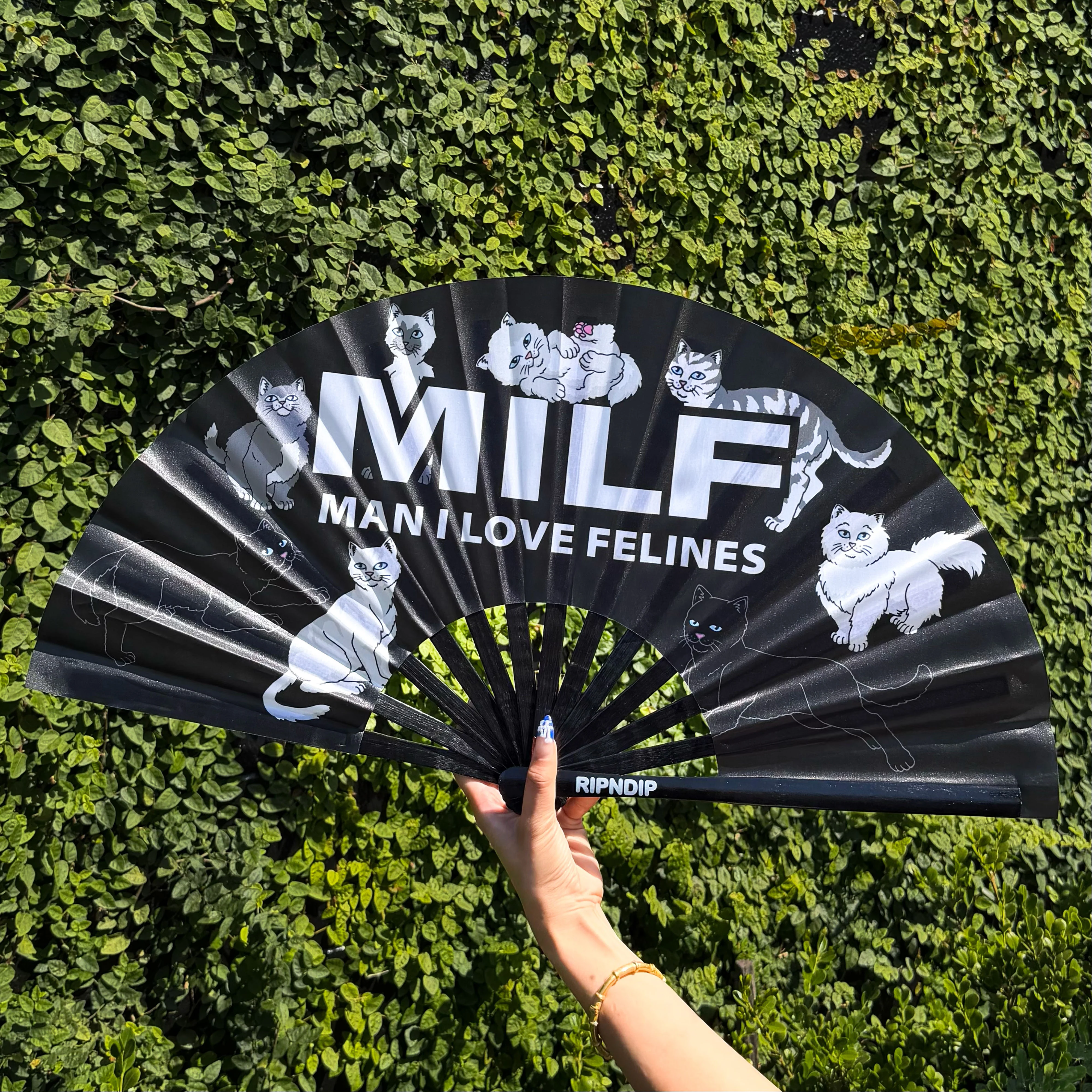 Man I Love Felines Fan (Black) - Image 2