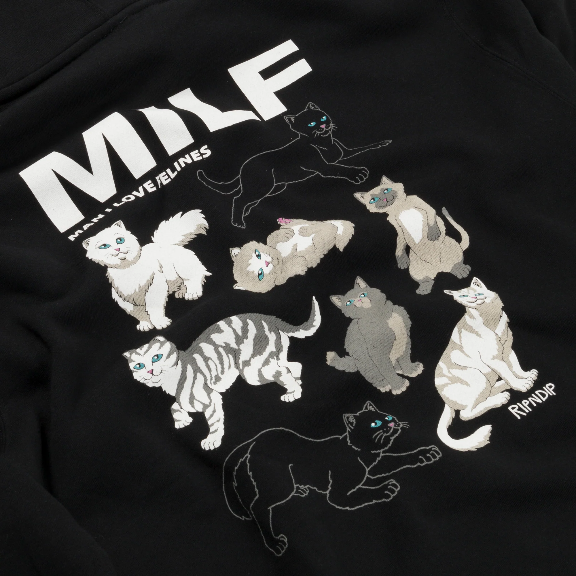 Man I Love Felines Hoodie (Black) - Image 3