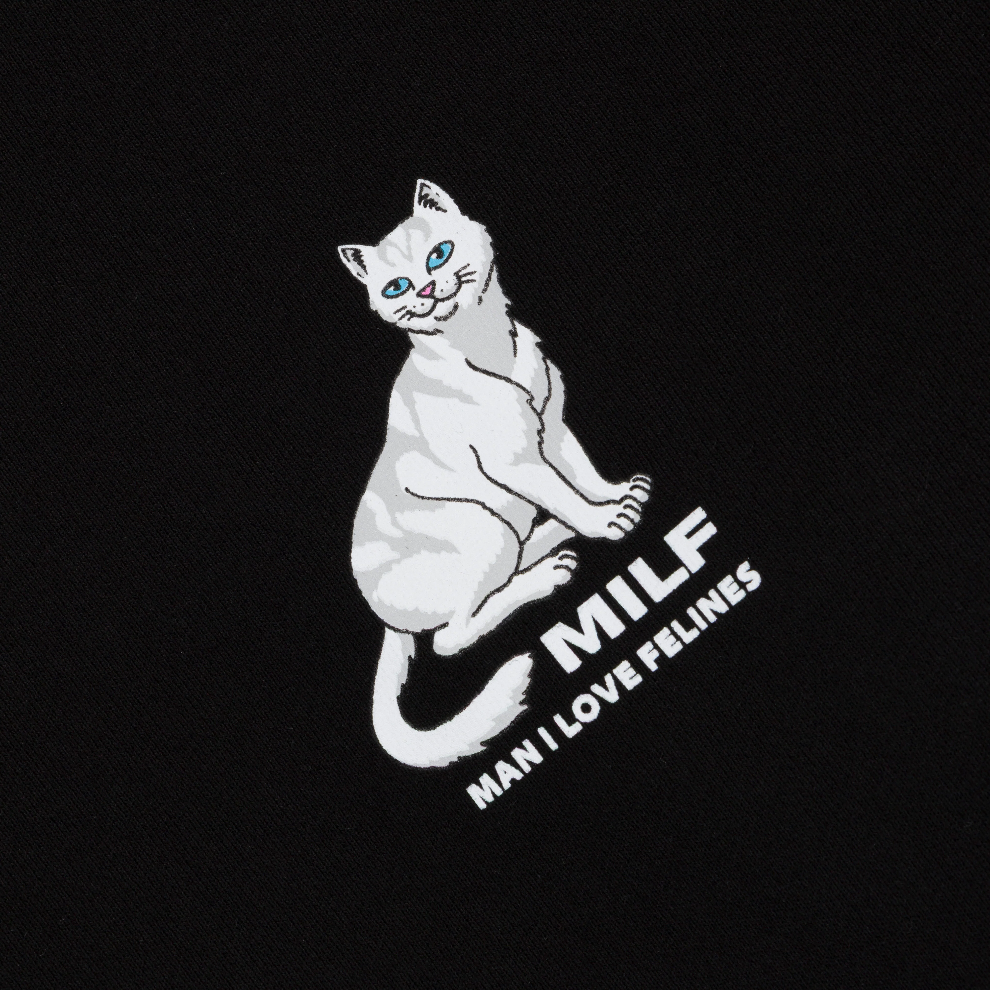 Man I Love Felines Hoodie (Black) - Image 4