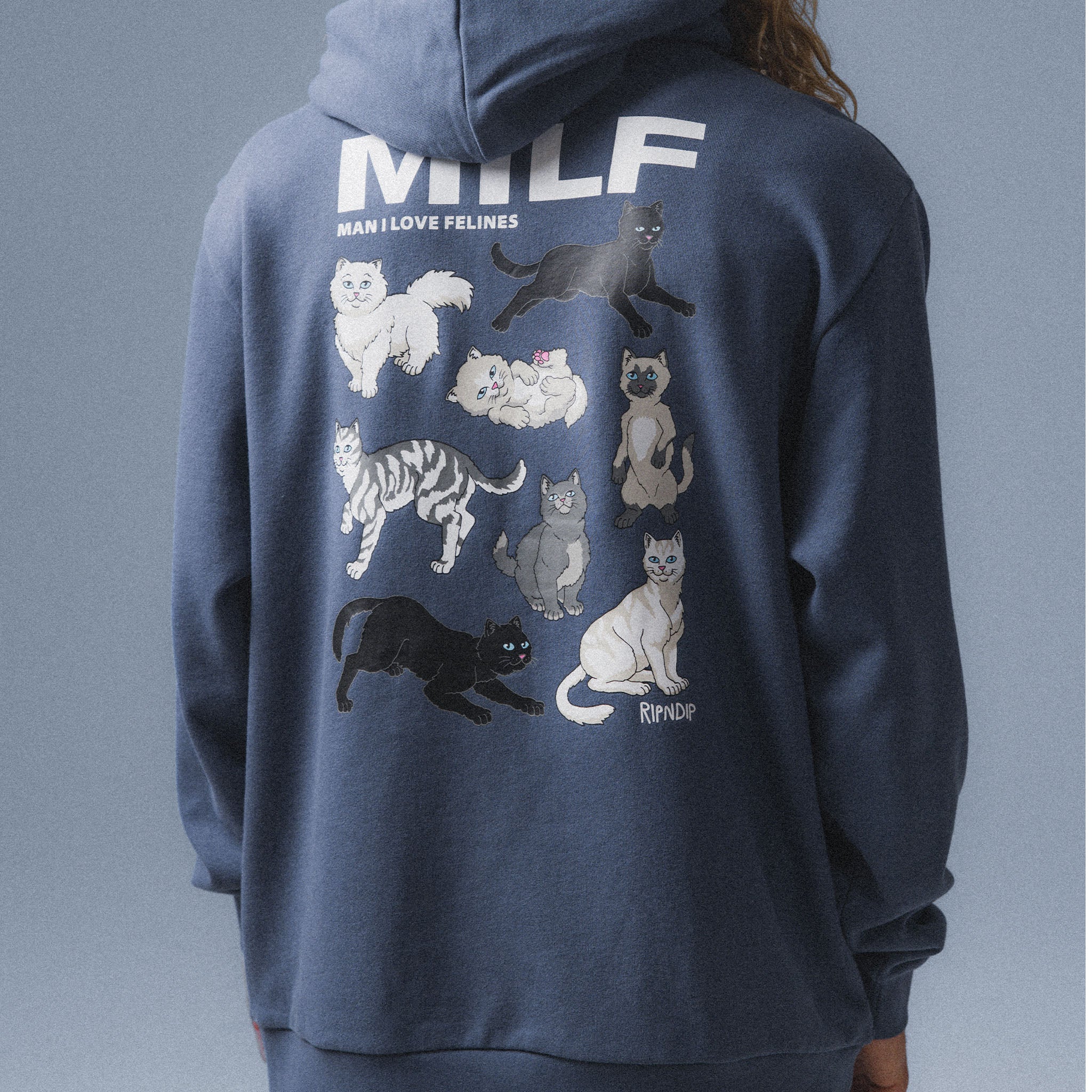 Man I Love Felines Hoodie (Storm Blue) - Image 2