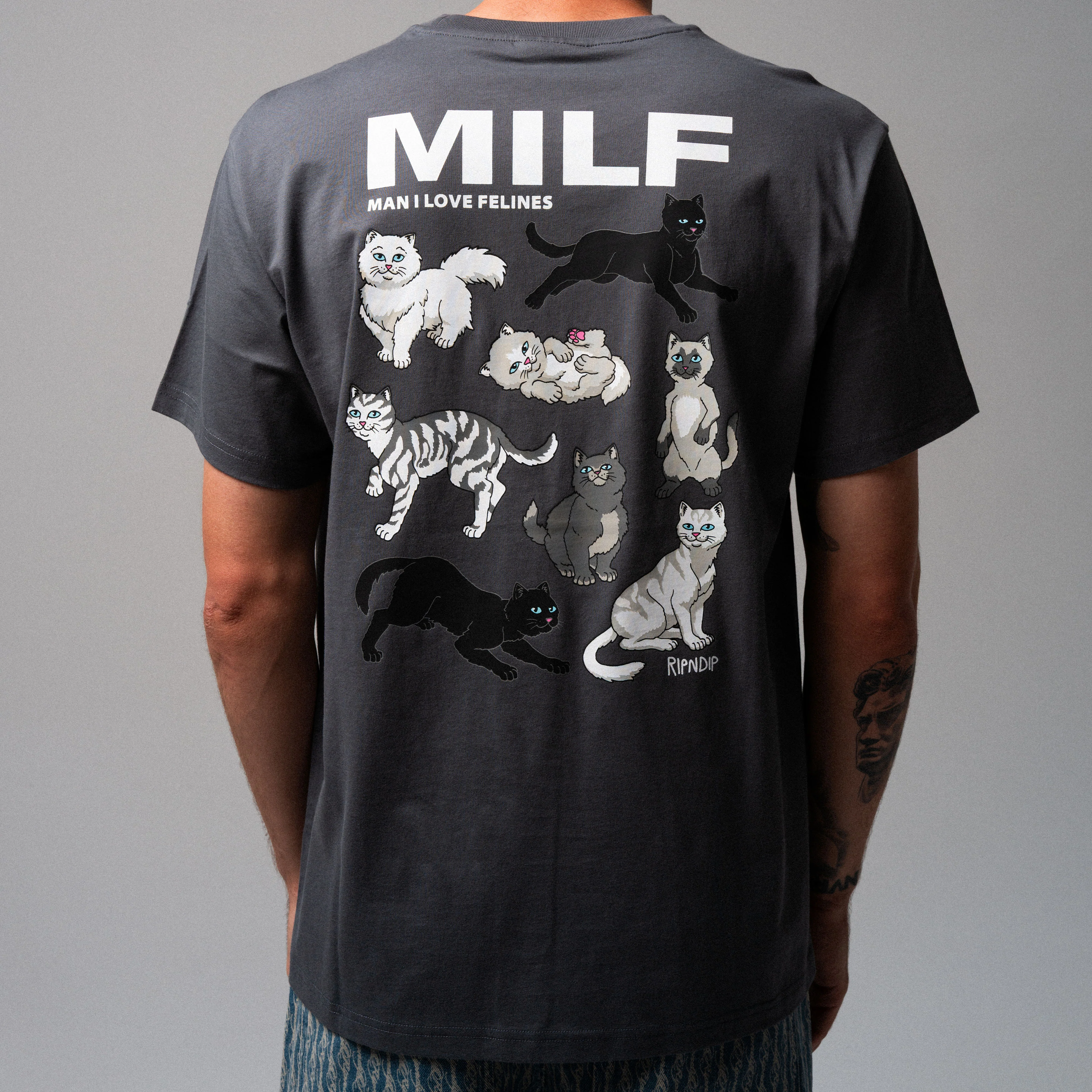 Man I Love Felines Tee (Charcoal) - Image 2