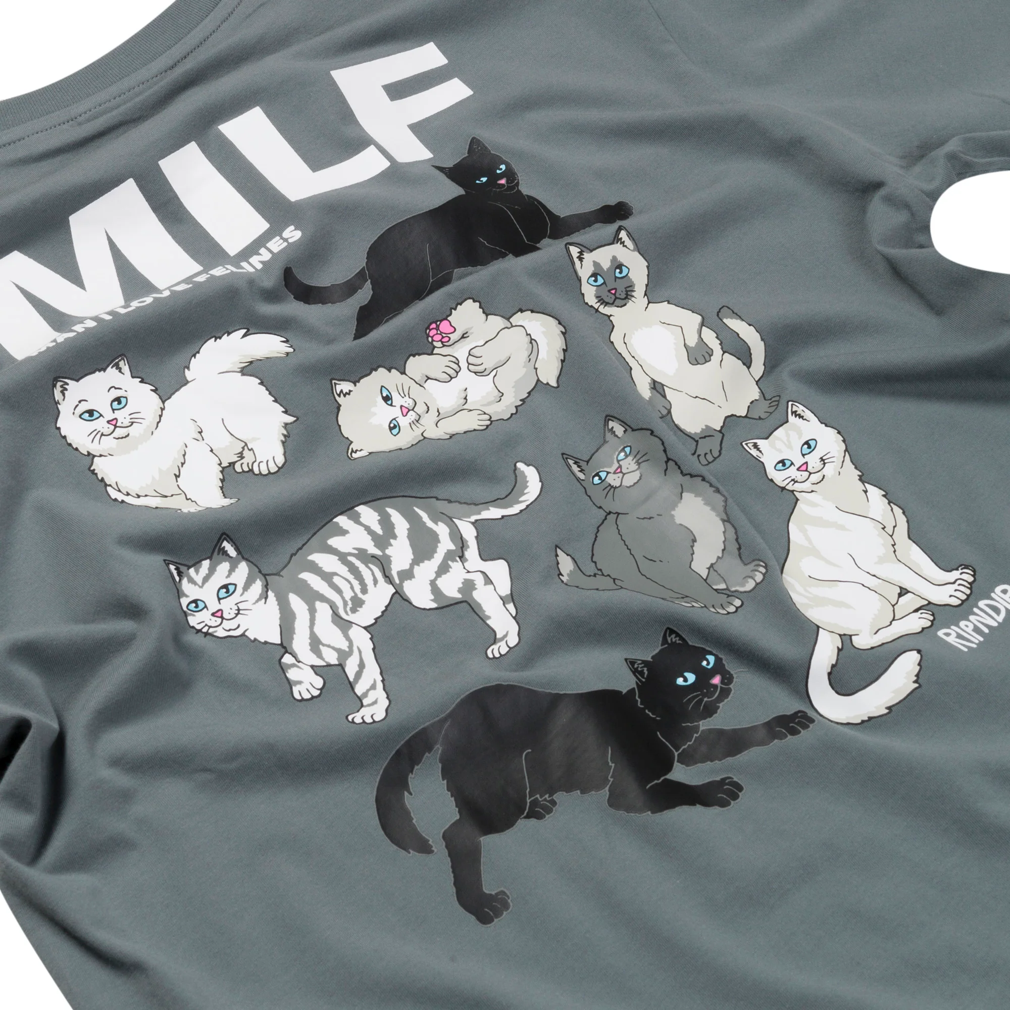Man I Love Felines Tee (Charcoal) - Image 4