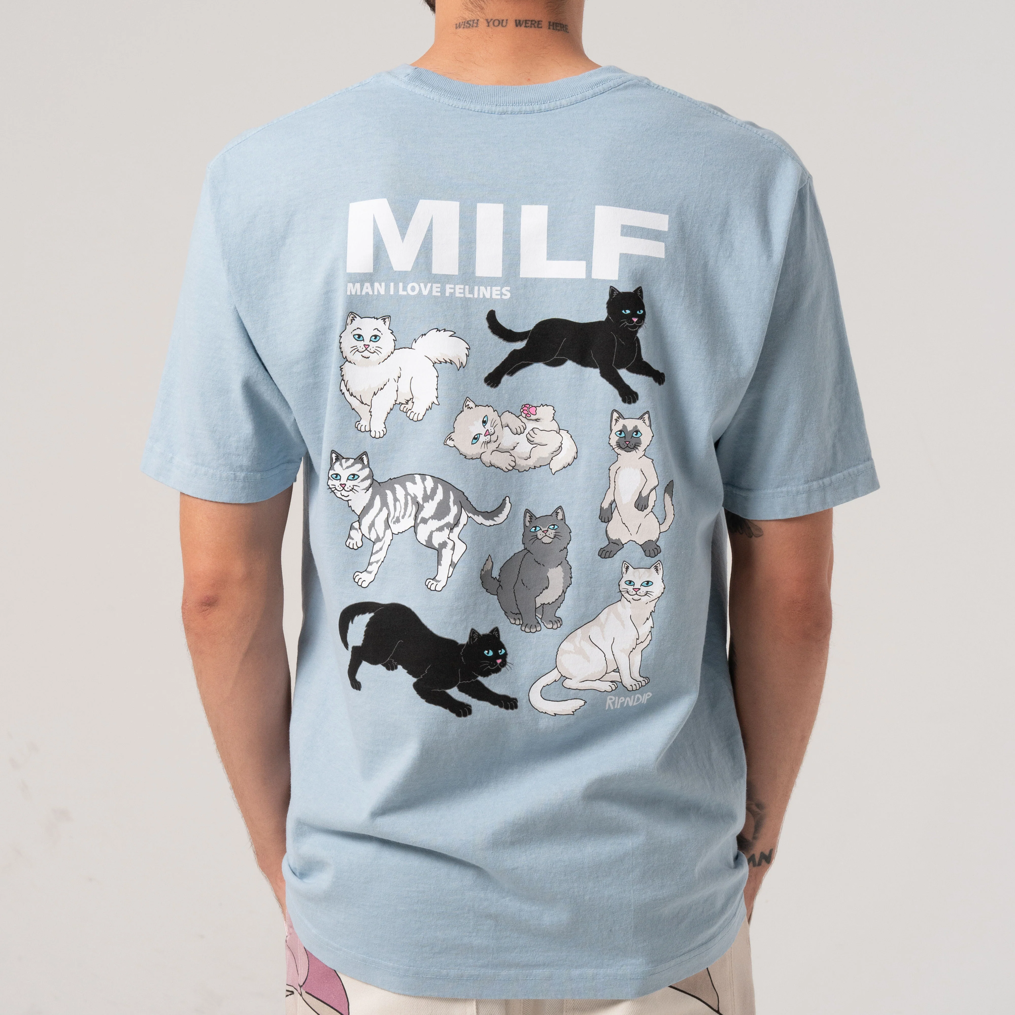 Man I love Felines Tee (Powder Blue) - Image 2