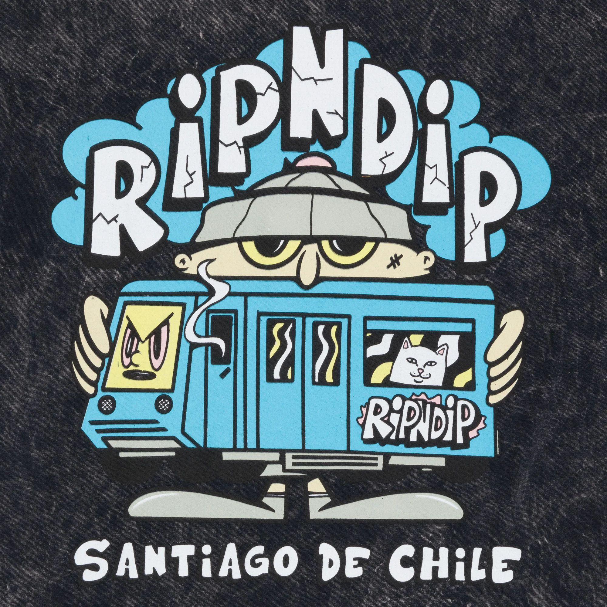 Nerm In Chile Tee (Black Mineral Wash) - Image 3