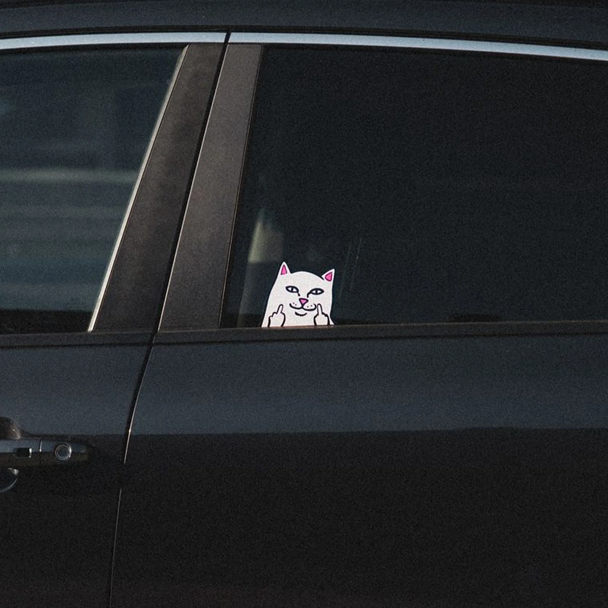 Peeking Nermal Car Sticker Pack (White) - Image 4