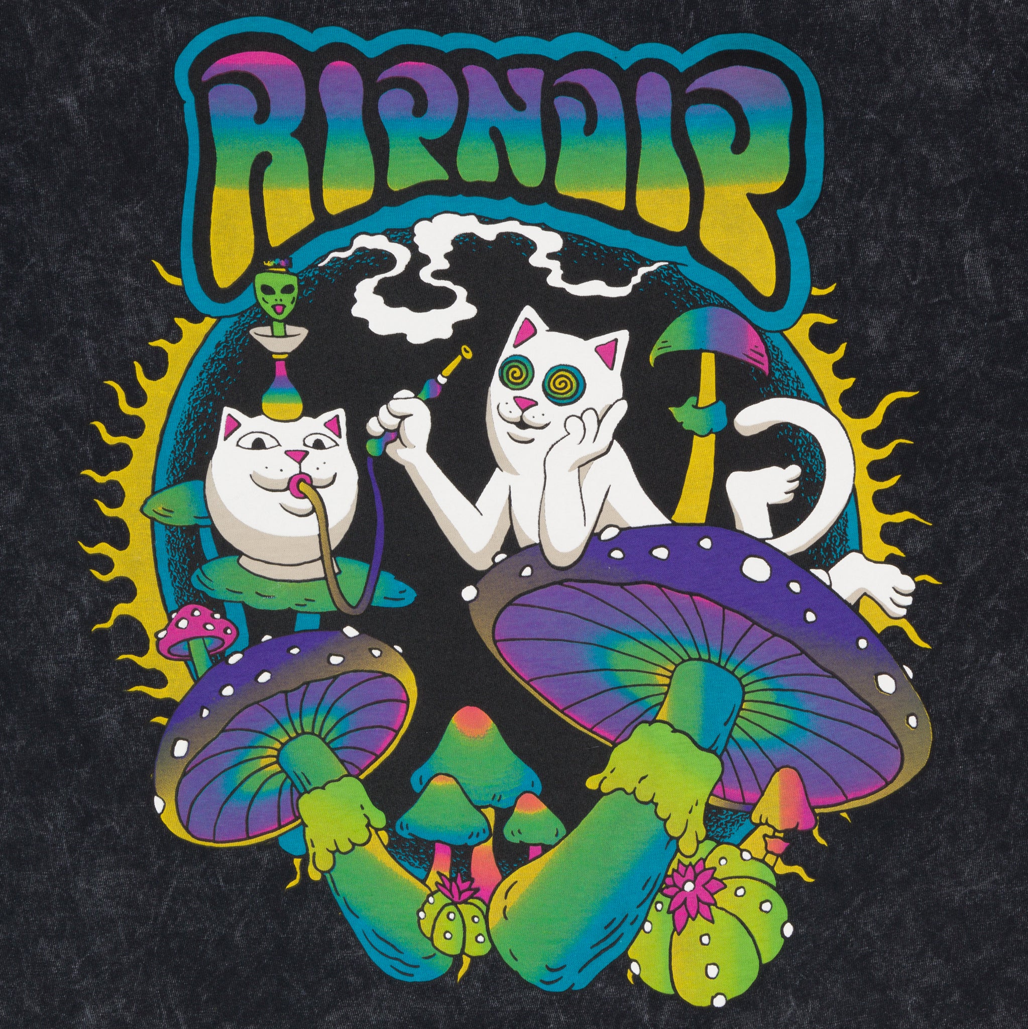Psychedelic Garden Tee (Black Mineral Wash) - Image 3
