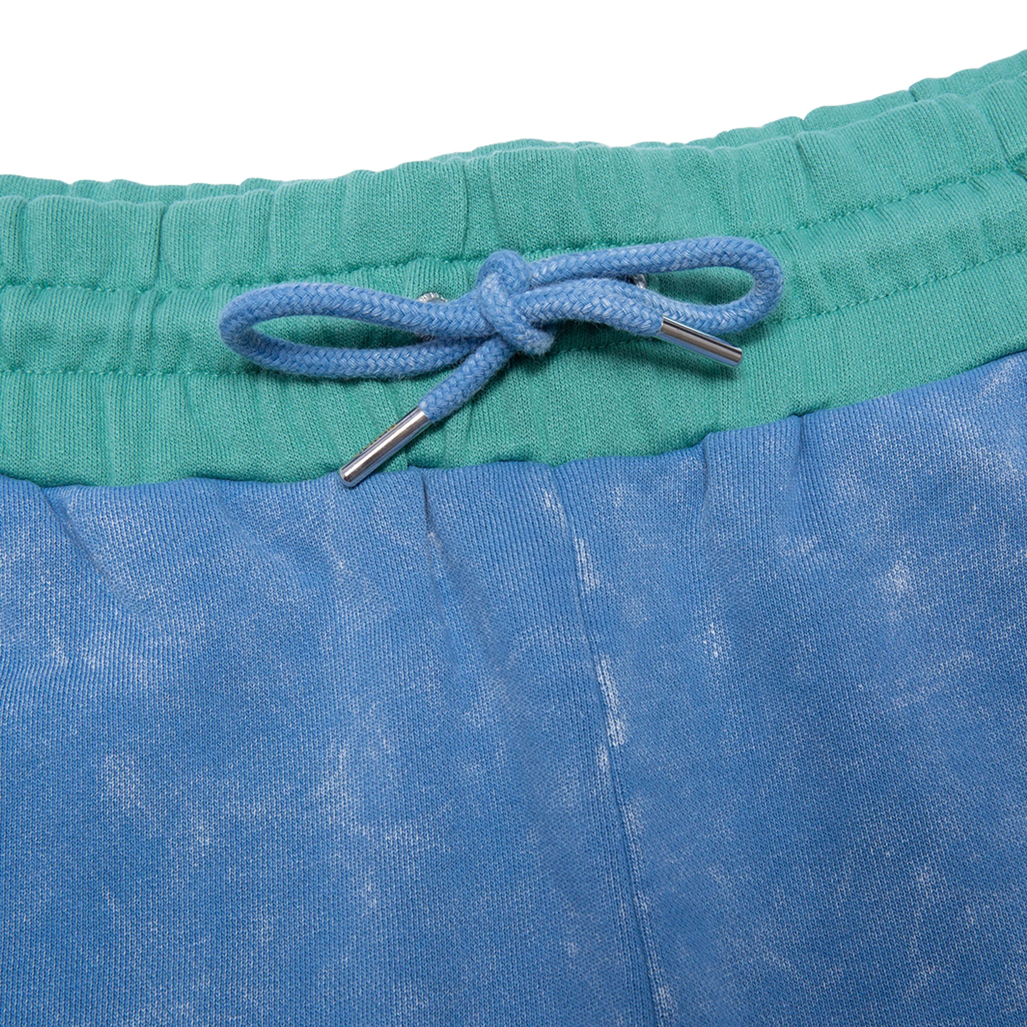 Ripntail Sweatshorts (Blue Mineral Wash) - Image 5