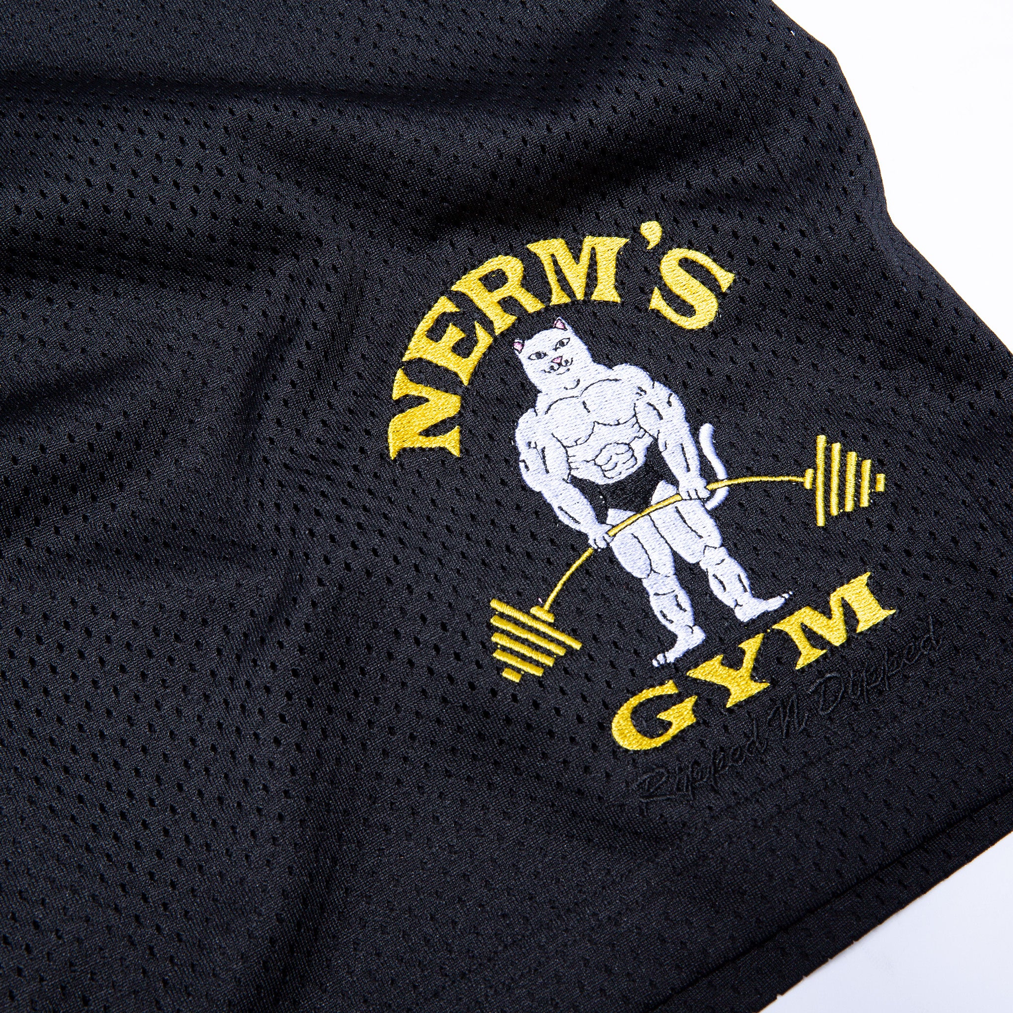 Ripped n Dipped Mesh Shorts (Black) - Image 3