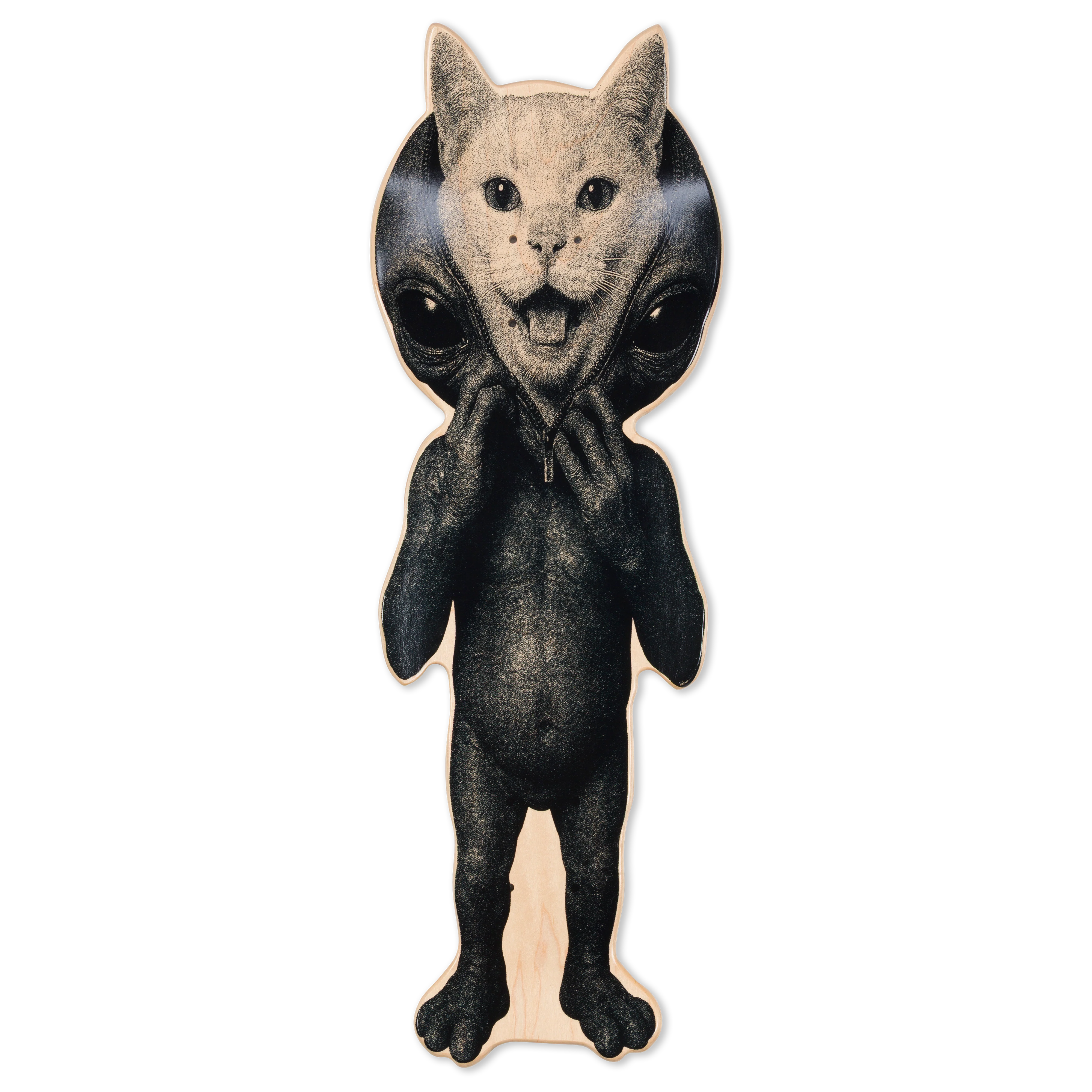 Take Ur Mask Off Cruiser Board (Multi) - Image 2