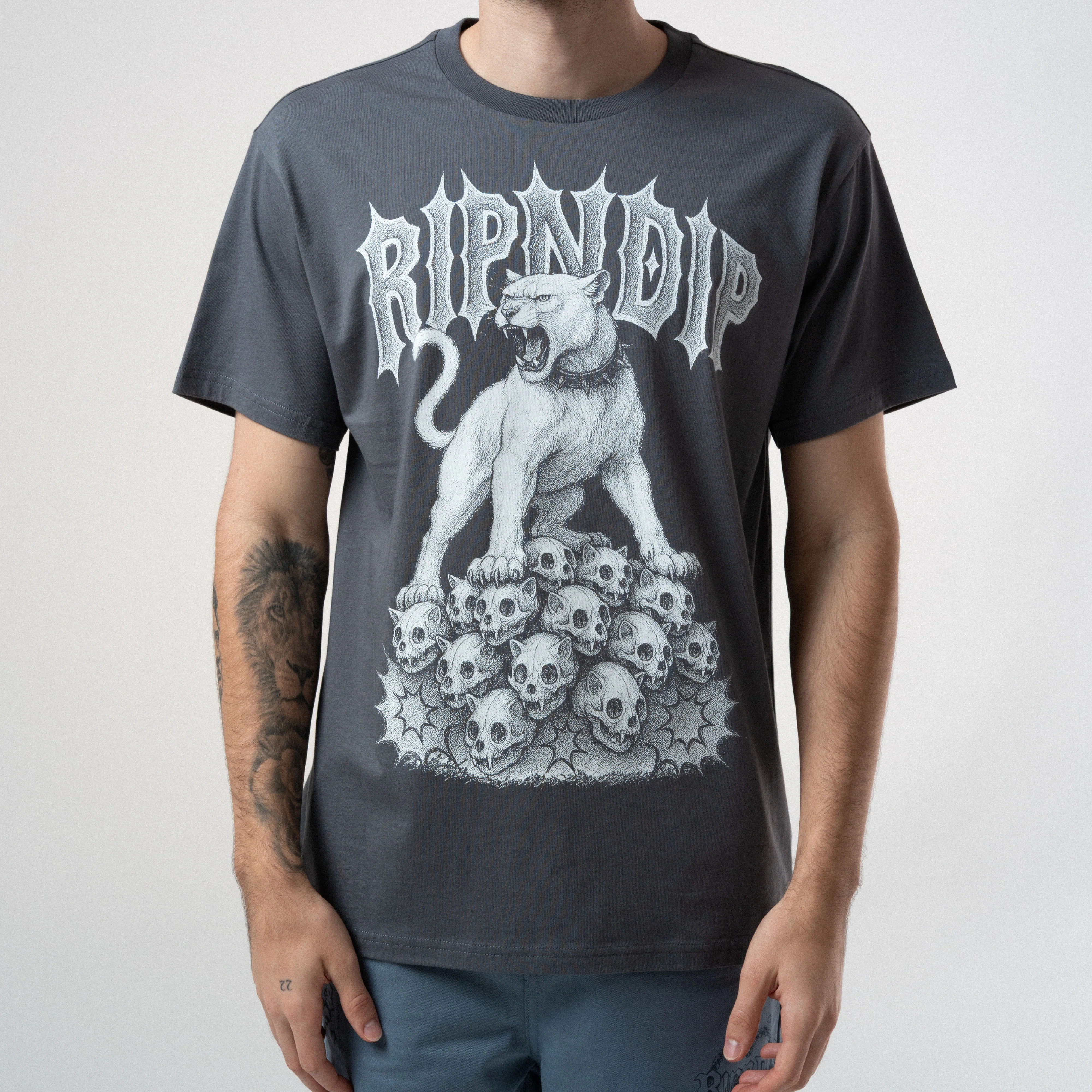 Wasteland Tee (Charcoal) - Image 2