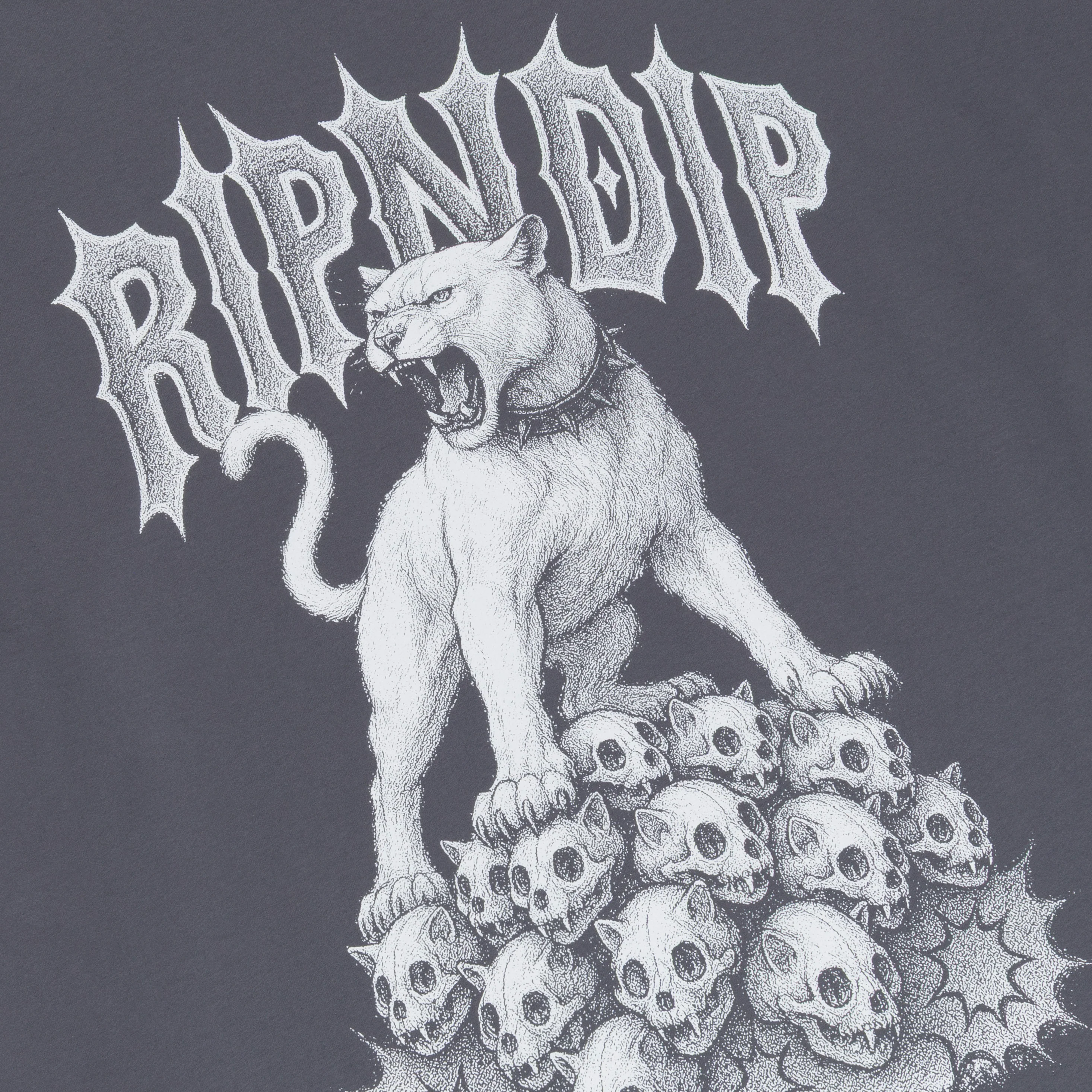 Wasteland Tee (Charcoal) - Image 3