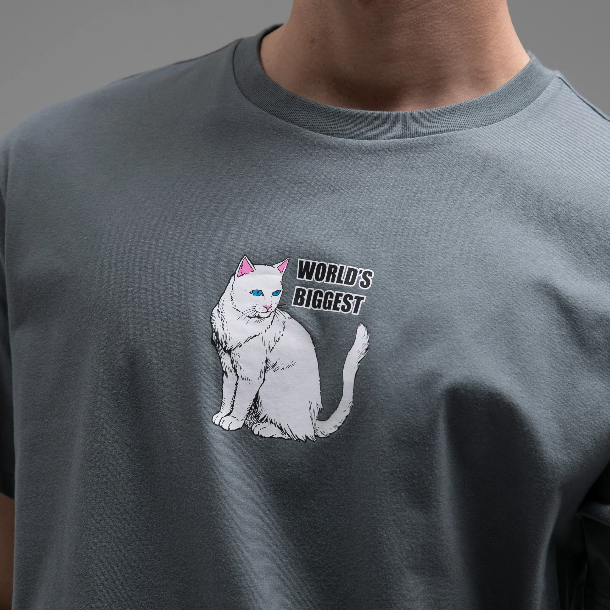 World's Biggest Tee (Charcoal) - Image 2
