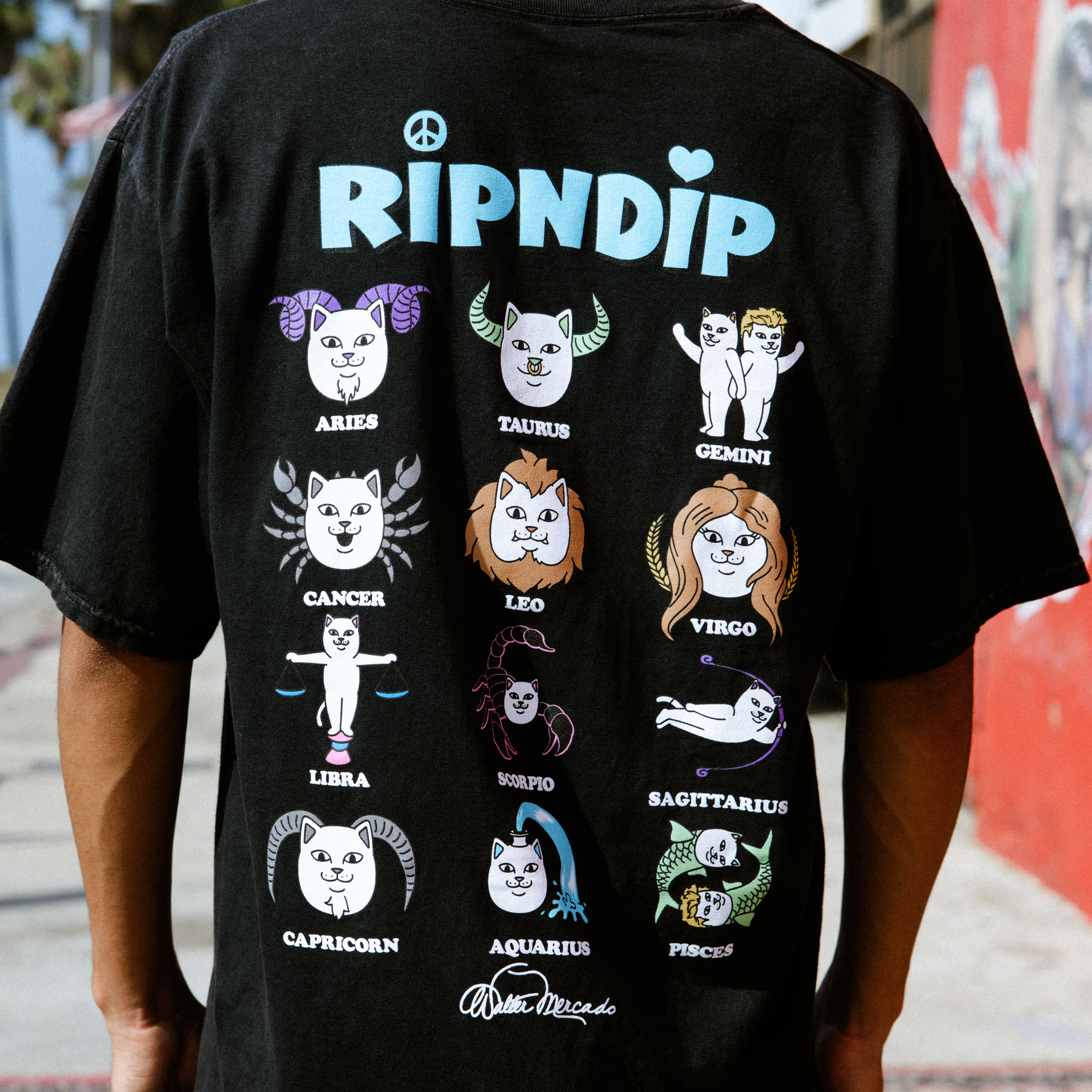 Zodiac Tee (Vintage Black) - Image 2